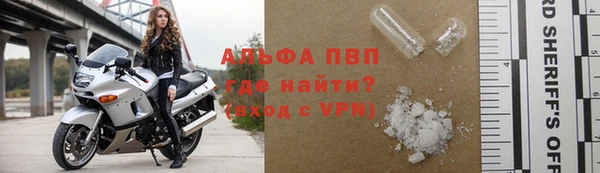 эйфоретик Арсеньев