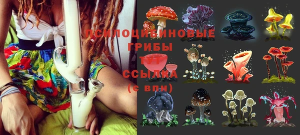 бошки Армянск