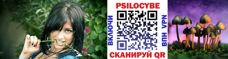 Галлюциногенные грибы Psilocybine cubensis  где можно купить   Алейск 