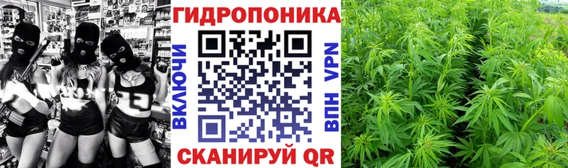 где найти наркотики  blacksprut ссылка  Канабис конопля  Алейск 